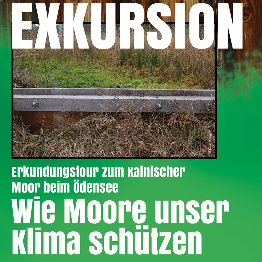 EINLADUNG Exkursion Kainischer Moor