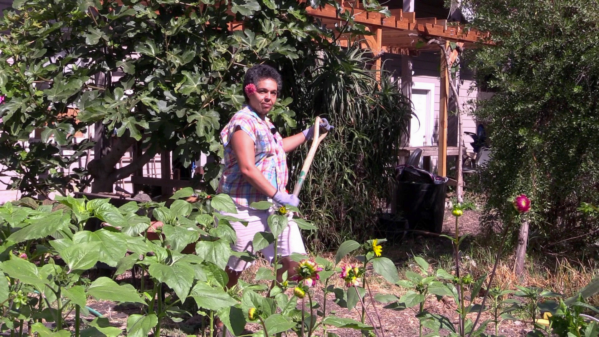 queer gardening